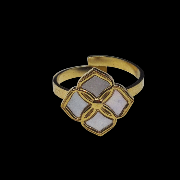 Bague en acier inoxydable ajustable